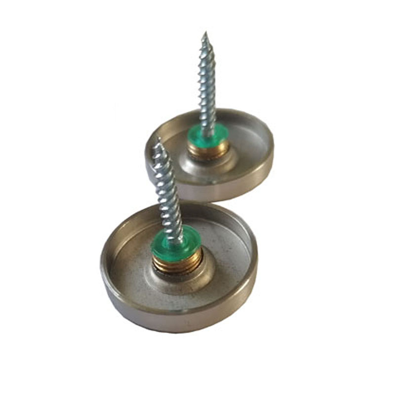 Stainless Steel 30mm Mirror Nail Mirror Screw Furniture Fitting