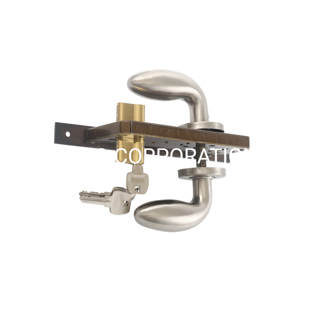Modern Door Lever Handle with Lock Body Furniture Fitting Steel Lock Cylinder
