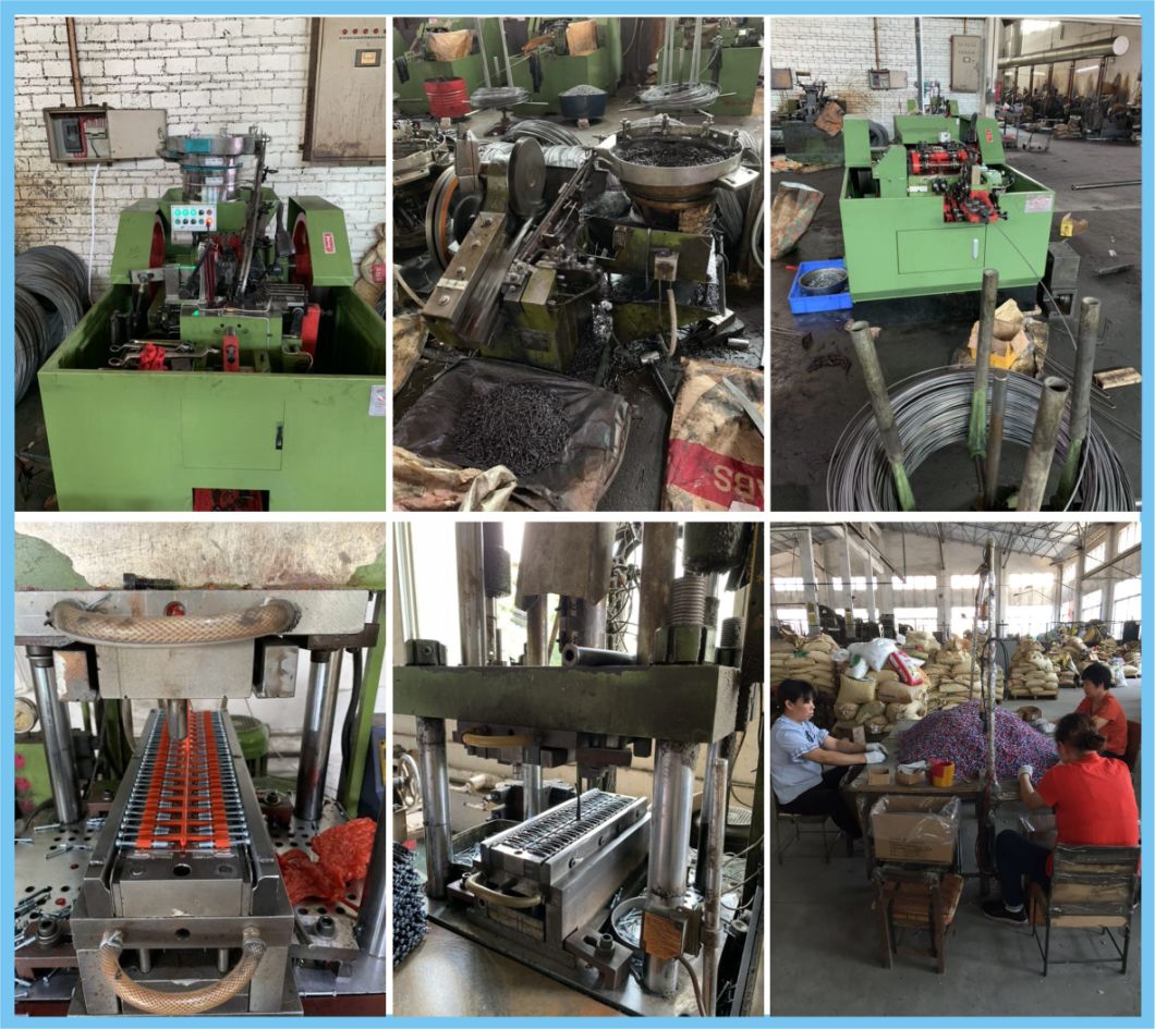 Factory Produce Steel and Plastic Home Furniture Bolt