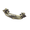 60mm Zinc Alloy Handle Door Accessories Classical Handle House Hardware Drawer Handle