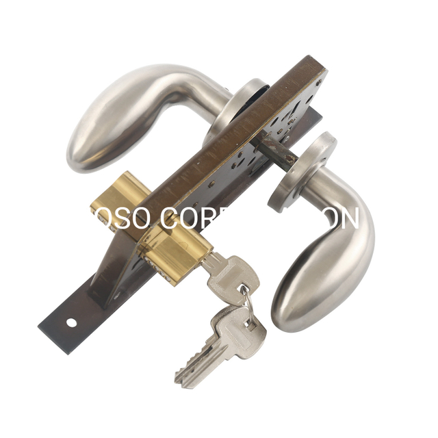 Modern Door Lever Handle with Lock Body Furniture Fitting Steel Lock Cylinder